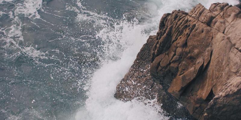 乌龙茶道与商务智慧：如何设计一场专业的茶叙洽谈会