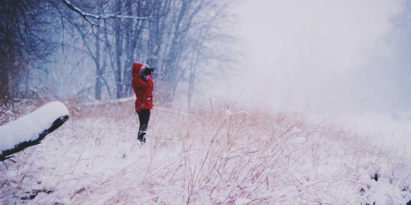 从茶园到茶杯：数字化如何重塑茶文化、茶艺与茶道的品质溯源体系