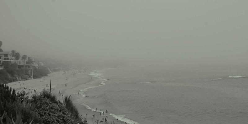 绿茶新选择：低咖啡因茶叶的制作工艺与茶艺指南