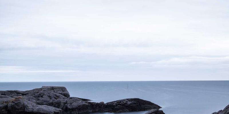 绿茶新食尚：解锁茶艺与地方风物的创意融合，打造风味调饮与茶点食谱