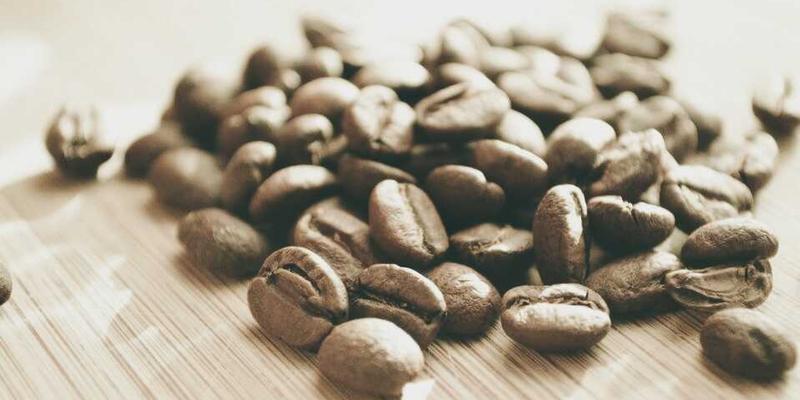 解密青上茶单枞：从凤凰山风土到独特香型的科学溯源与茶艺品鉴