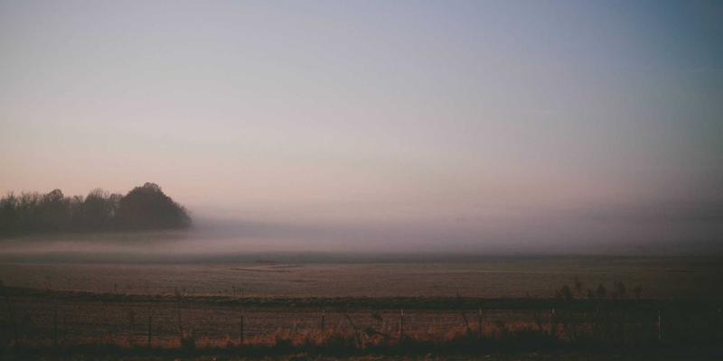 青上白茶‘一年茶，三年药，七年宝’：科学依据与收藏价值的深度解析