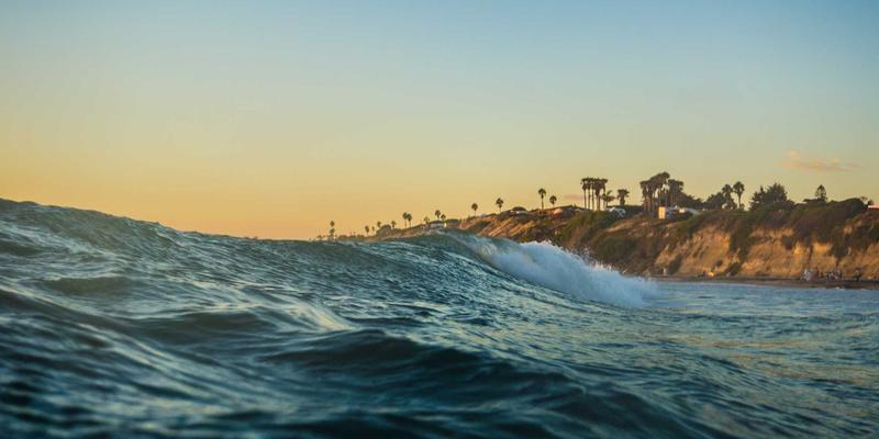 青上茶28：探寻绿茶与普洱之间的匠心平衡