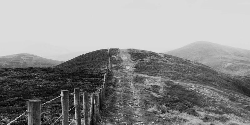 青上茶2：探寻绿茶中的茶道与茶艺精髓
