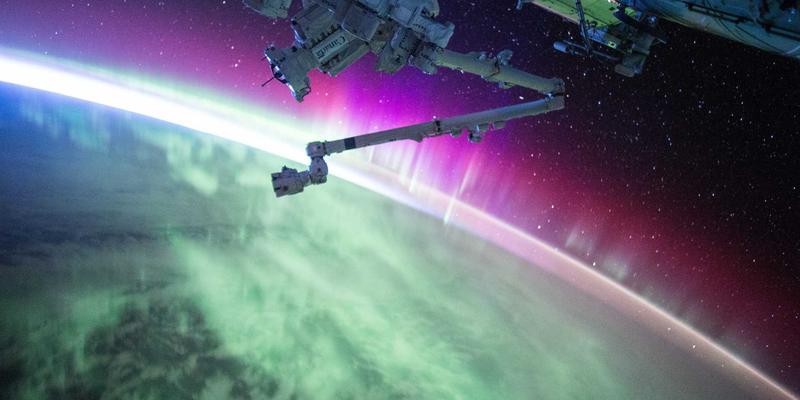 青上茶63：一款融合传统与现代工艺的匠心茶品