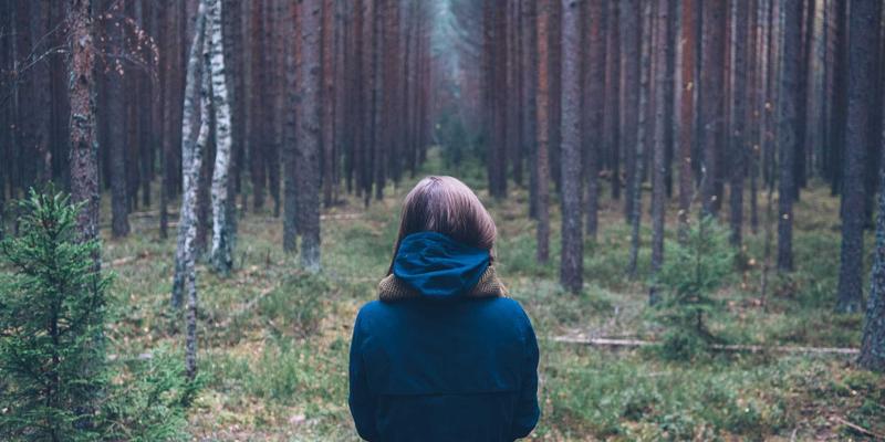 青上茶70：时光淬炼的红茶典范，品味七十年匠心传承