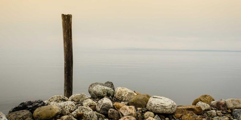 青上茶76：一盏绿茶中的东方美学与茶道哲思