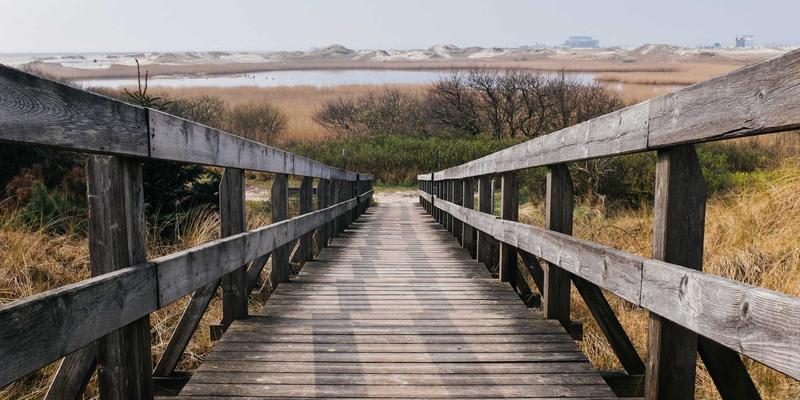 青上茶77：一盏绿茶里的东方茶道美学