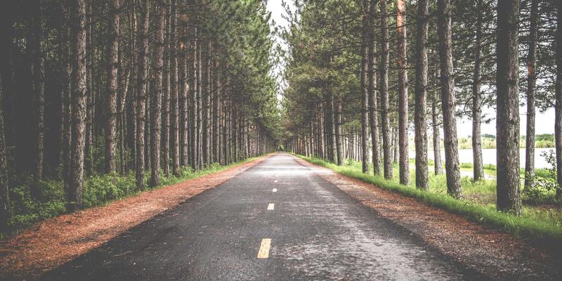 青上茶储存全攻略：3大关键技巧锁住红茶香气与新鲜