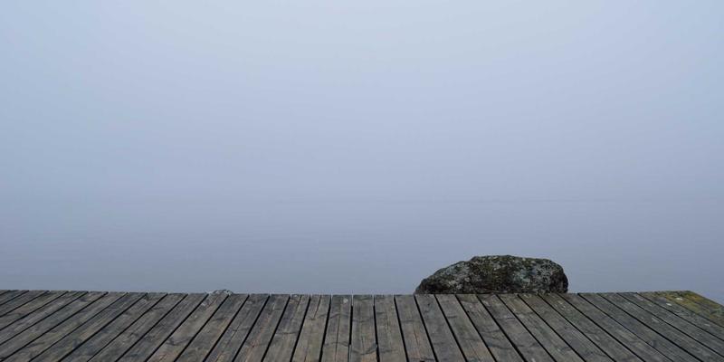 青上茶入门：从乌龙茶到绿茶，探索茶道之美