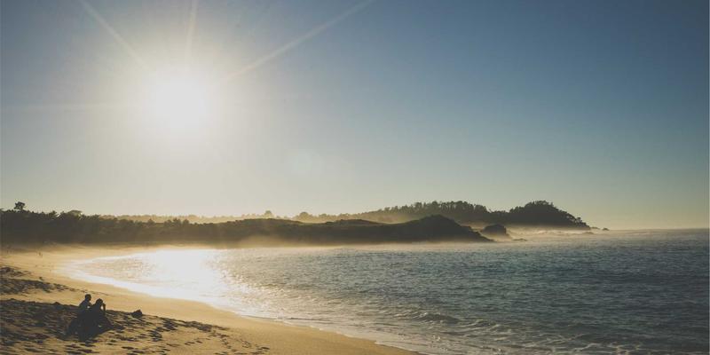 青上茶发展:从普洱茶到茶道美学的文化复兴之路