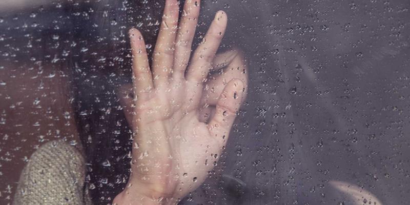 青上茶山地理溯源：揭秘核心产区风土如何塑造顶级茶叶与普洱茶品质