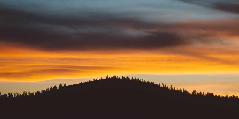 青上茶技巧全解析：从乌龙茶到绿茶的品鉴与冲泡之道