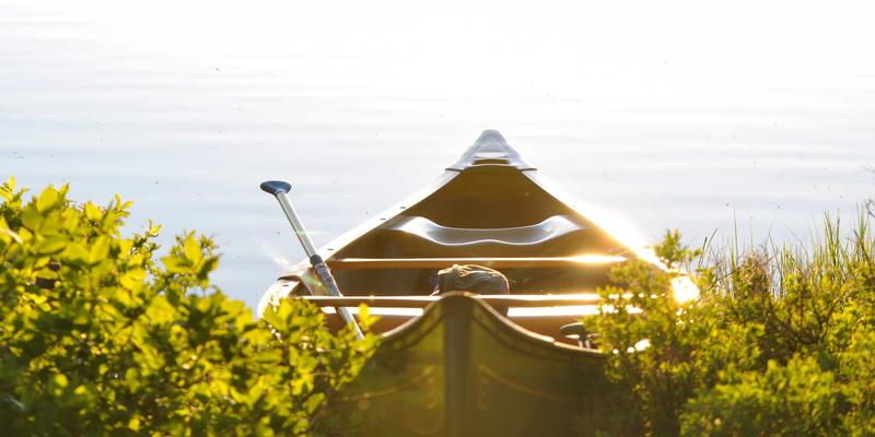 青上茶礼：解锁商务社交与高端礼品场景中的红茶与乌龙茶文化密码