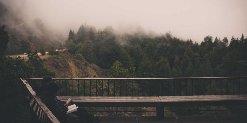 青上茶趋势：从普洱茶复兴看当代茶道美学的三重变革