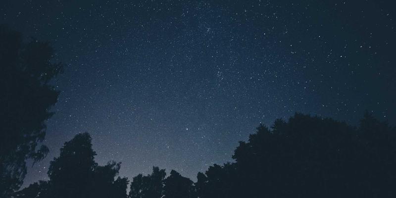 青上茶陈化潜力深度解析：绿茶与茶道文化中的长期存放智慧